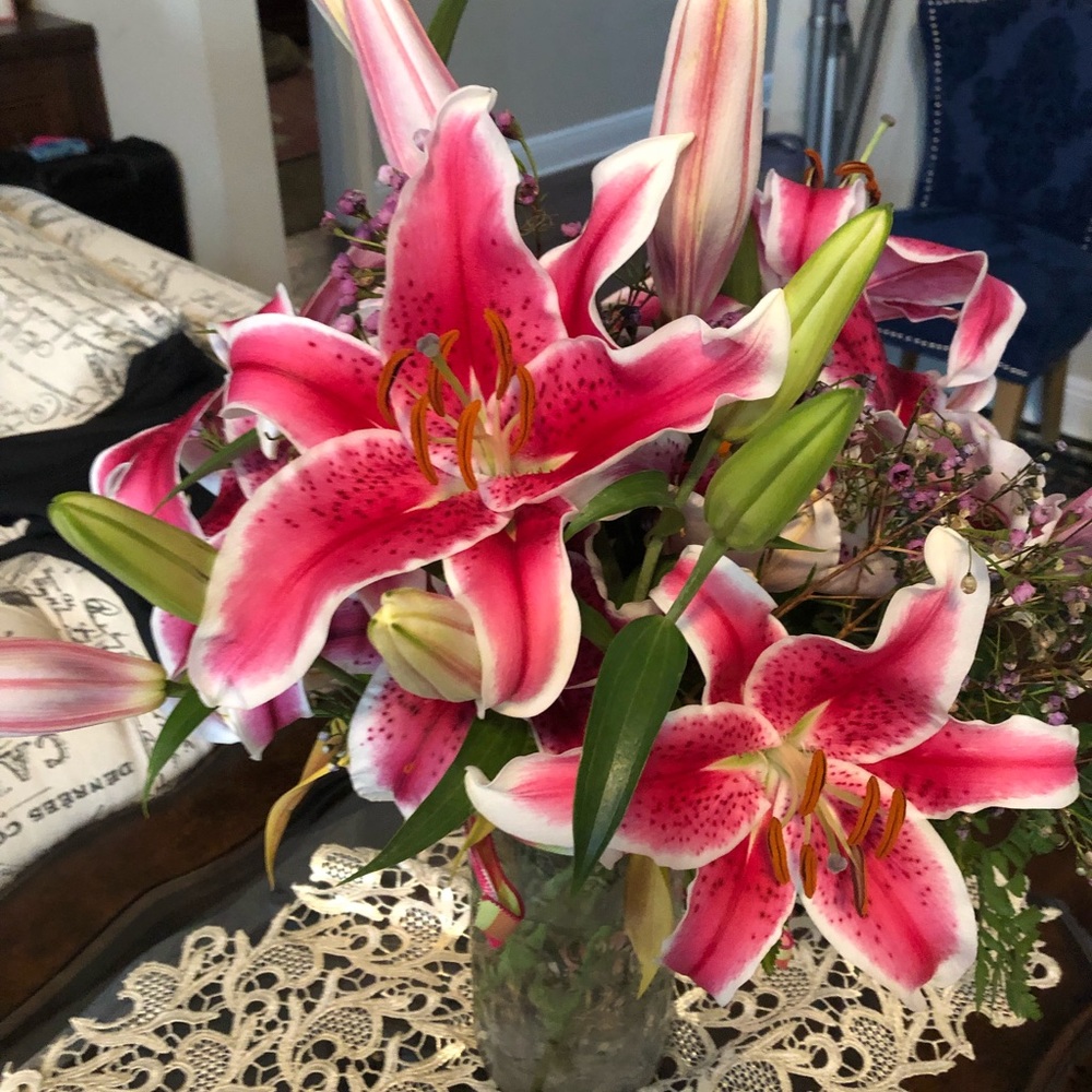 Meet your Posher, Phaly